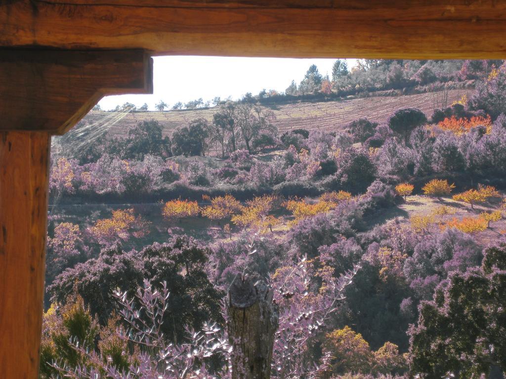 Apartamentos Rurales Candela Cañamero 객실 사진