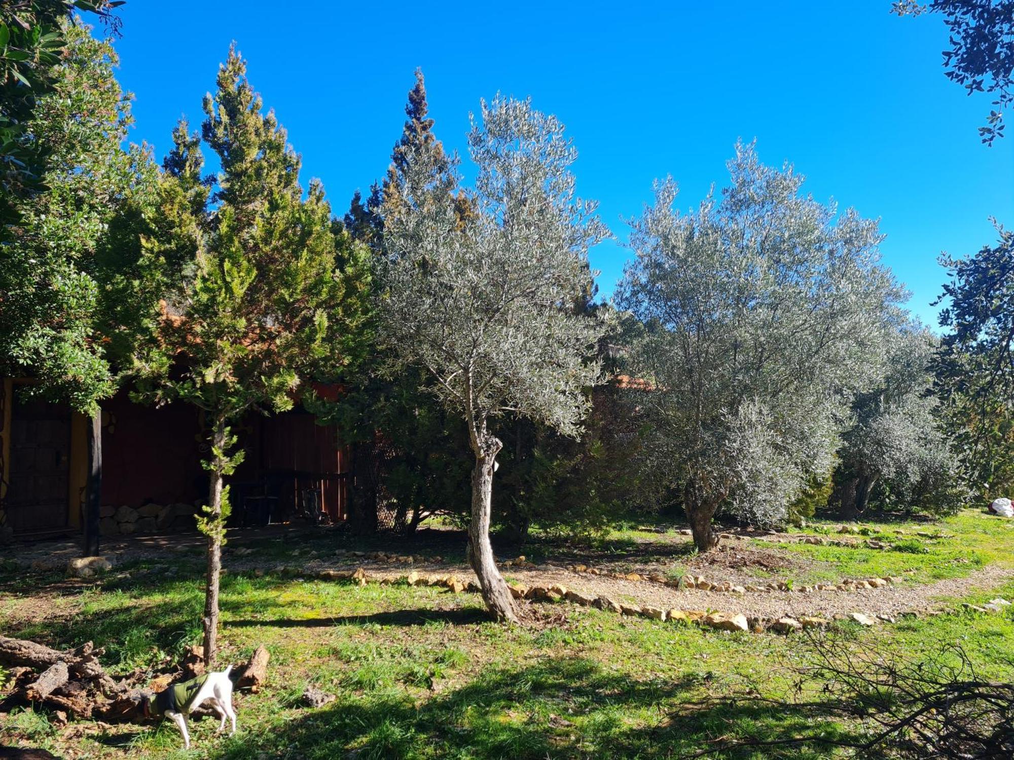 Apartamentos Rurales Candela Cañamero 외부 사진