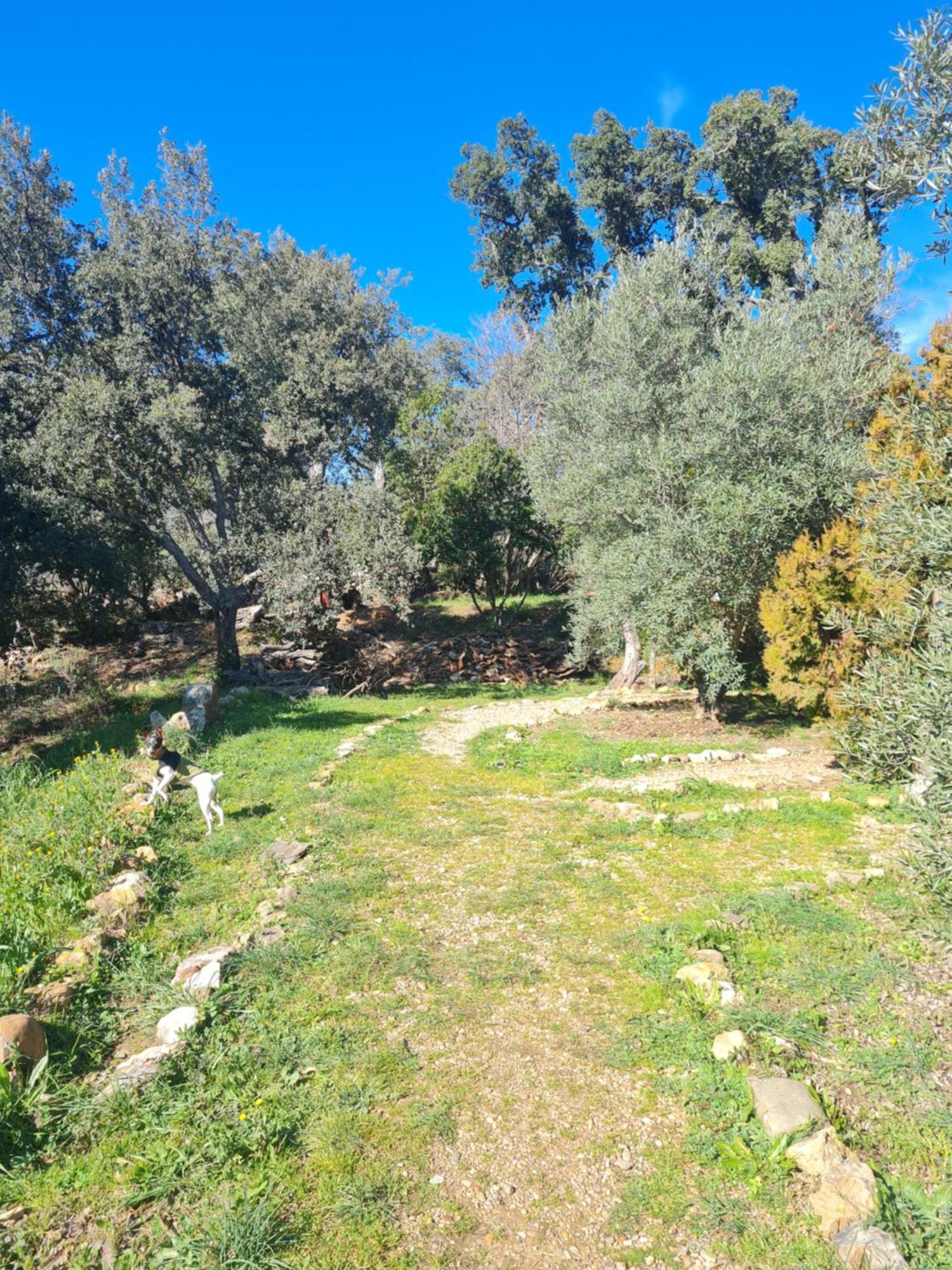Apartamentos Rurales Candela Cañamero 외부 사진